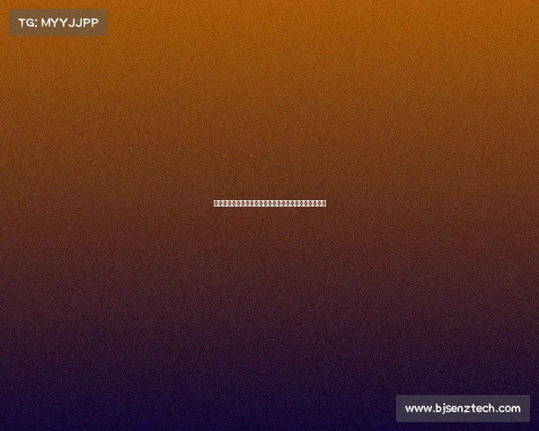 电讯报：热刺引进帕利尼亚优于吉布斯怀特更能提升实力